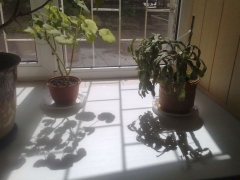 14052009476.jpg