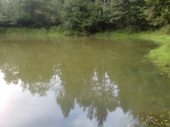 13082009631.jpg