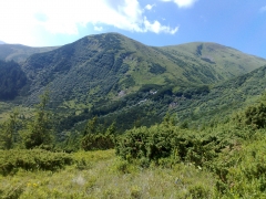 170720101013.jpg