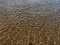382228_10150474485821018_541706017_10464364_946039211_n.jpg