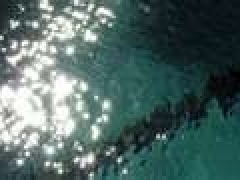 s22_a3825_thumbnailcatjhvkq.jpg